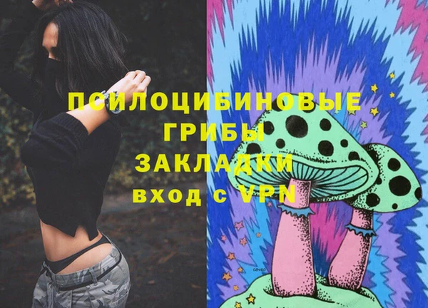 сатива Зерноград